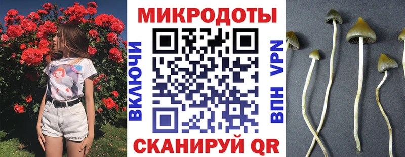 Псилоцибиновые грибы Cubensis  где найти наркотики  Пыталово 